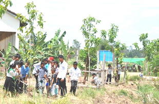 マンゴーの木に水をやる児童達